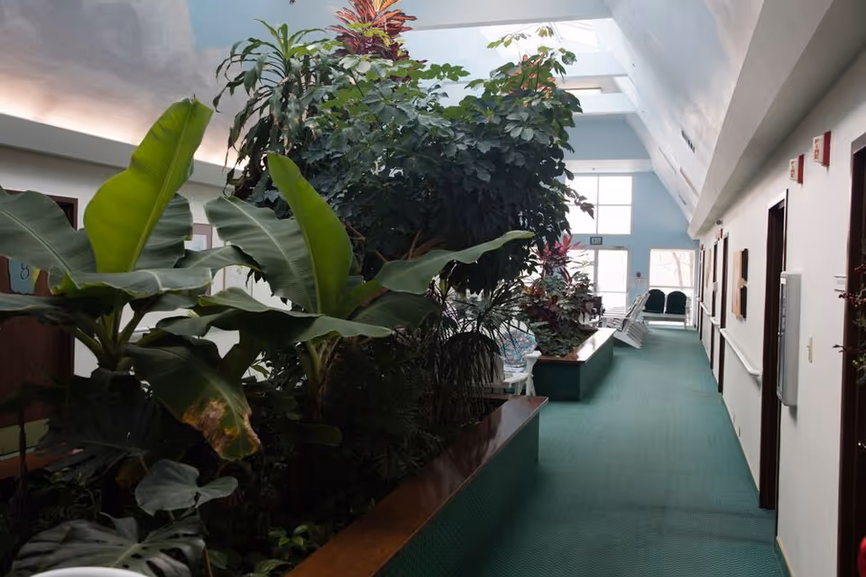 Indoor hallway with green carpet and large indoor plants along one side. The hallway has a high ceiling with skylights allowing natural light to enter. Doors line the opposite wall, and there are chairs and a bench near the windows at the far end.
