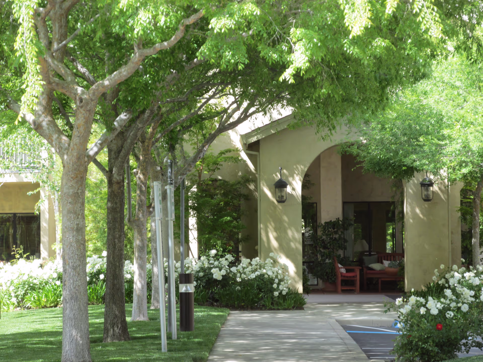 A shaded walkway lined with trees and white flowering bushes leads to an arched entrance of a building with outdoor seating visible inside. The scene is bright and green, suggesting a peaceful garden or courtyard area.