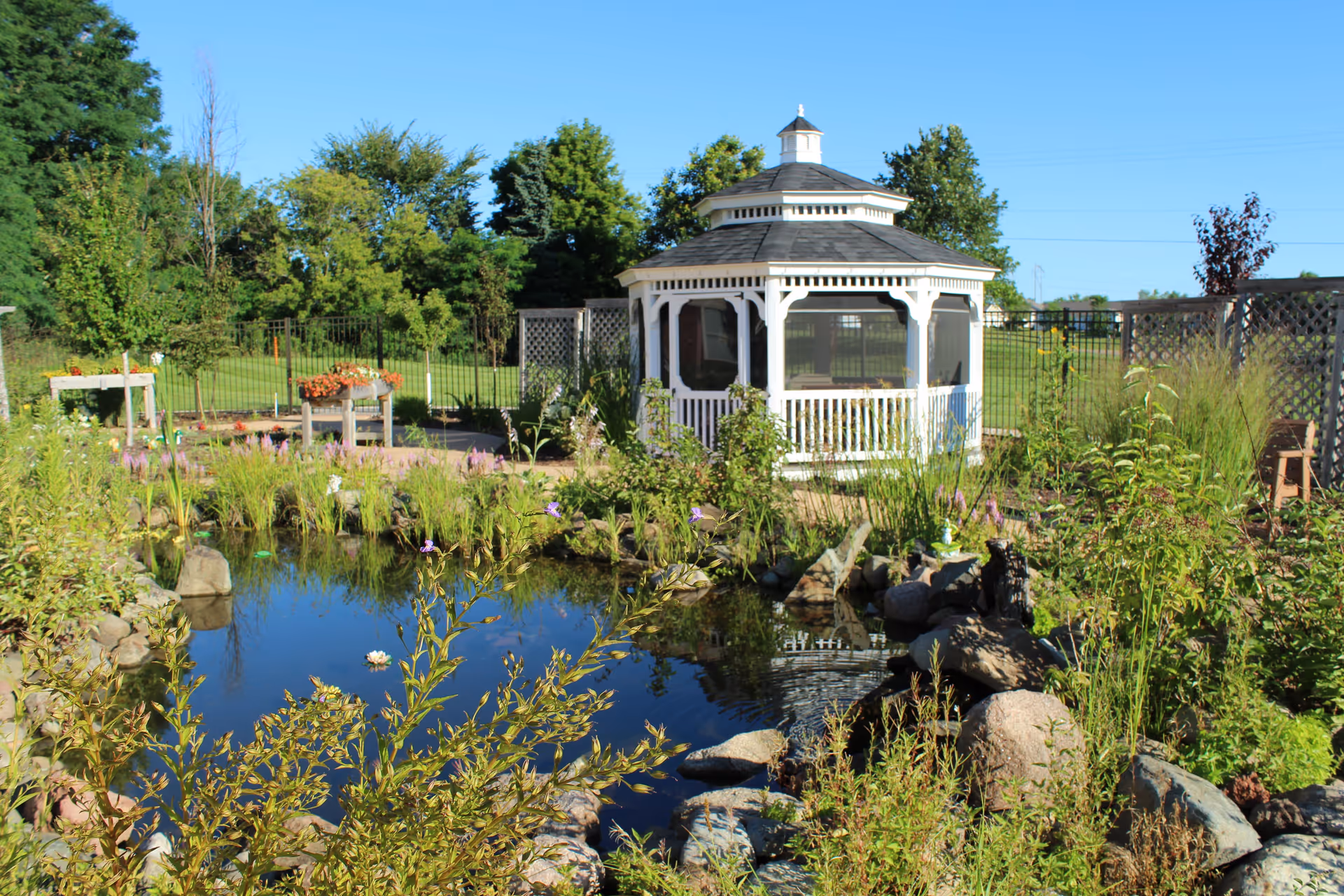 A serene outdoor garden area featuring a small pond surrounded by rocks and various plants. In the background, there is a white gazebo with a shingled roof, lattice fencing, and green trees under a clear blue sky.