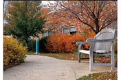 A curved concrete pathway in a garden area with autumn-colored bushes and trees, a gray wooden bench on the right side, and a brick building in the background.
