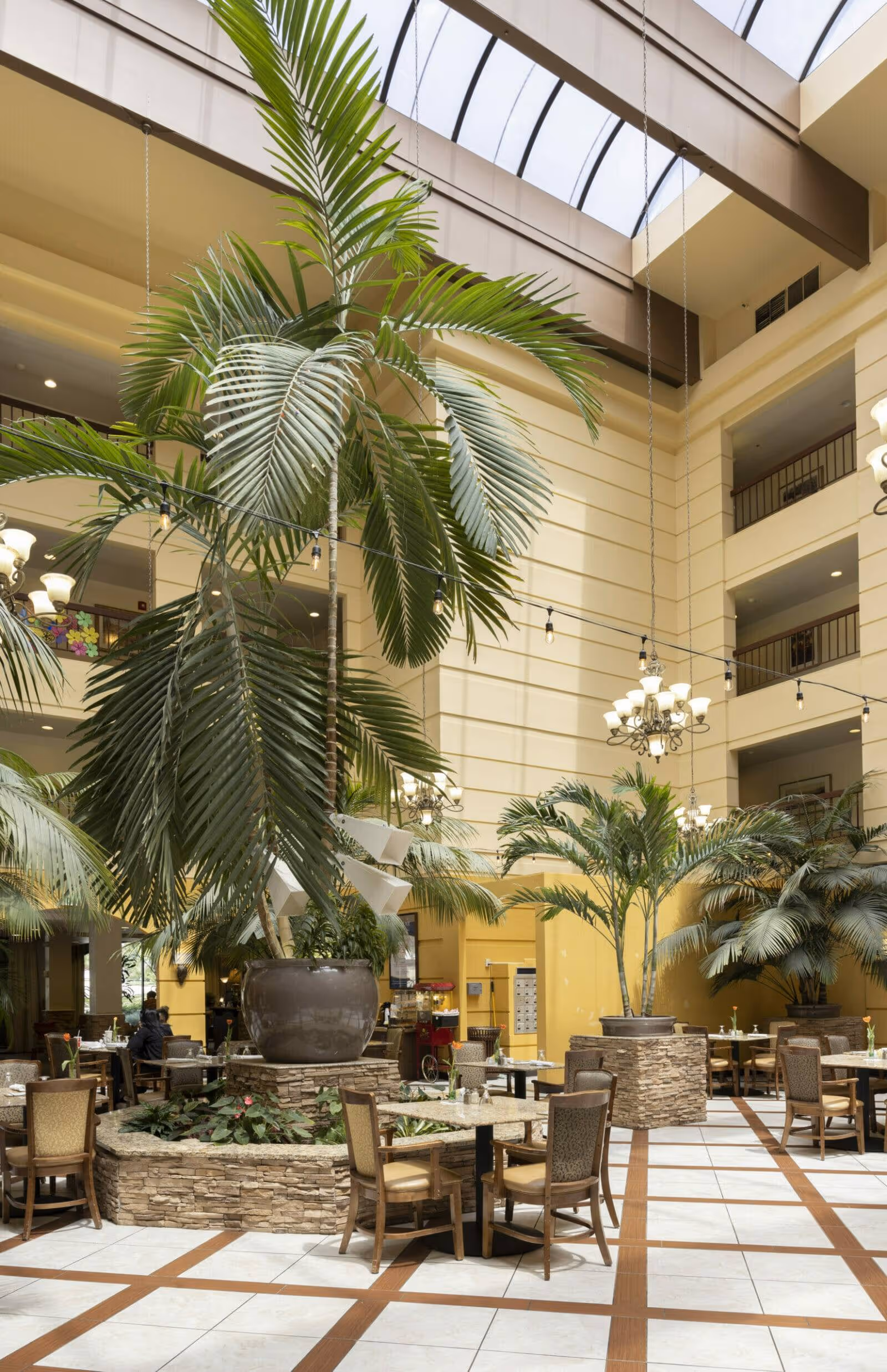 Atrium dining area with large potted palm trees, tables and chairs beneath a skylight.