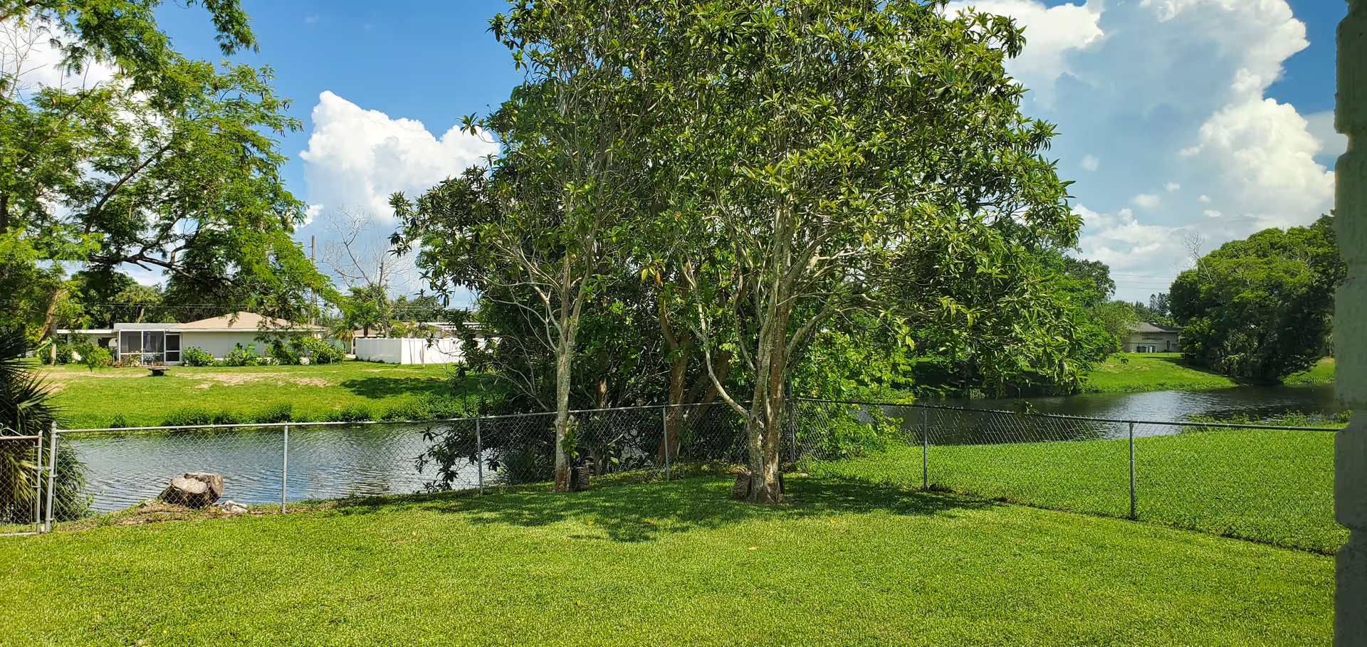 A fenced grassy backyard with several trees and a small body of water beyond the fence under a partly cloudy blue sky.