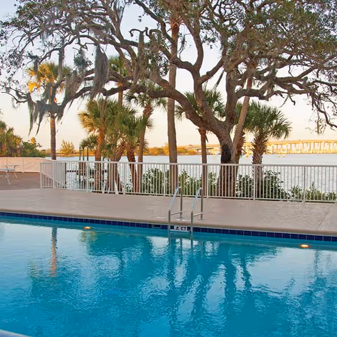 Outdoor swimming pool with clear blue water, surrounded by a concrete deck and white metal railing. In the background, there are palm trees and other trees with Spanish moss, and a body of water with a bridge visible in the distance under a clear sky.