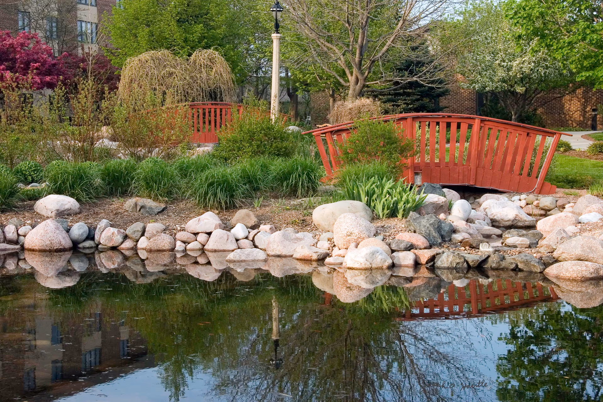 A serene outdoor garden area featuring a small red wooden bridge over a rocky stream with a pond reflecting the surrounding greenery and trees. There are various bushes, flowering plants, and trees in the background along with a lamppost and part of a brick building visible.