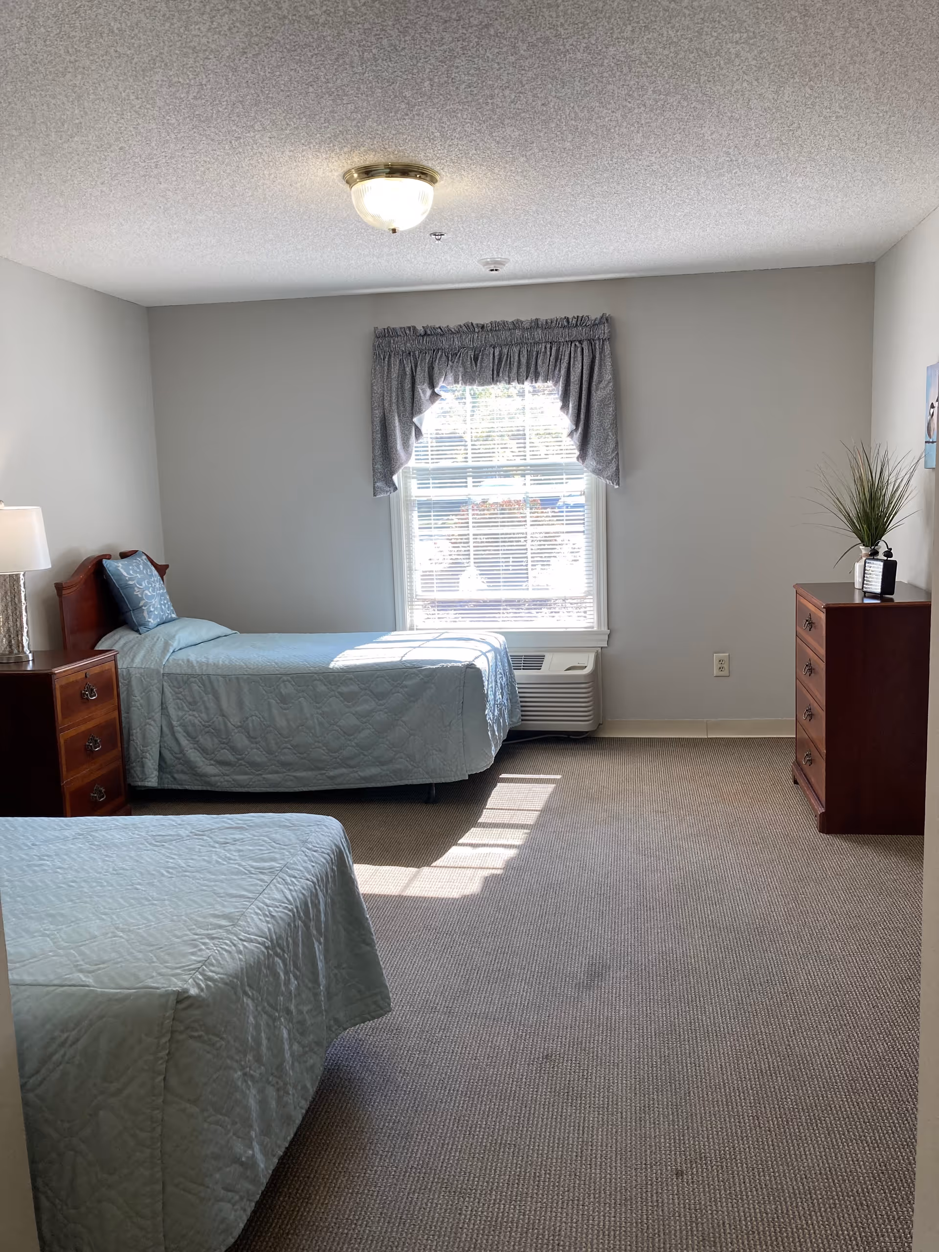 A simple bedroom with two twin beds covered in light blue quilts. There is a wooden nightstand with a lamp between the beds, a window with blinds and a blue valance letting in sunlight, and a wooden dresser with a plant on top against the right wall. The room has beige carpet and light gray walls.