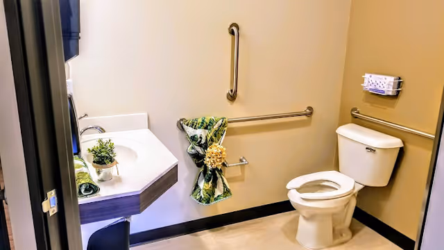 A clean and accessible bathroom with beige walls, featuring a white toilet with grab bars on the walls around it, a corner sink with a small potted plant and a rolled green towel on the countertop, and a decorative green and yellow cloth hanging on the grab bar.