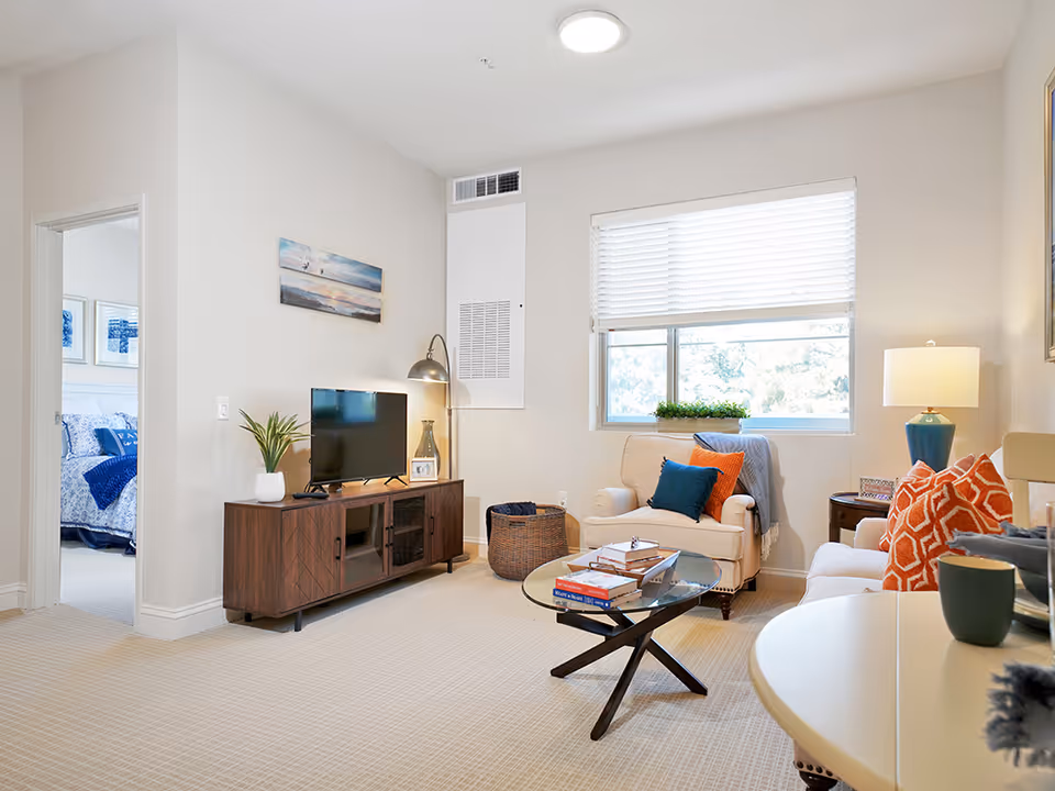A bright, cozy living room with armchairs, colorful throw pillows, a TV on a wooden console, and a glass coffee table beneath a window.