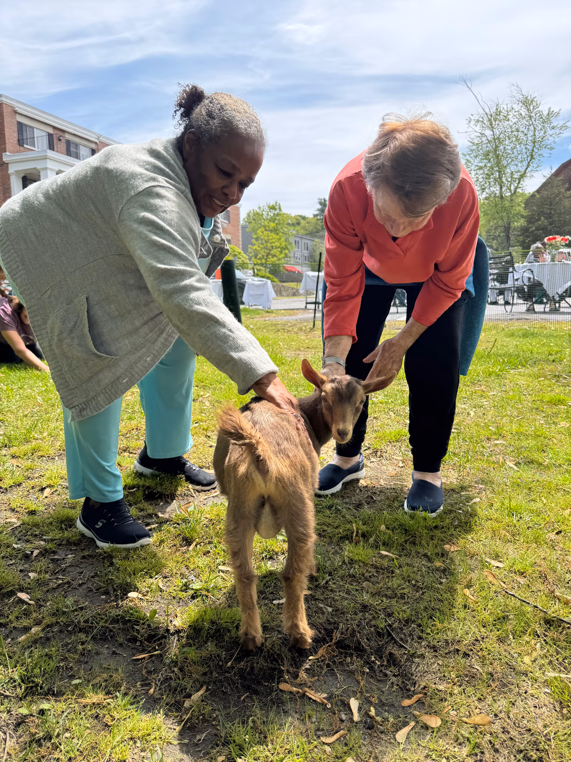 Two women interacting with a goat in a grassy outdoor area.
