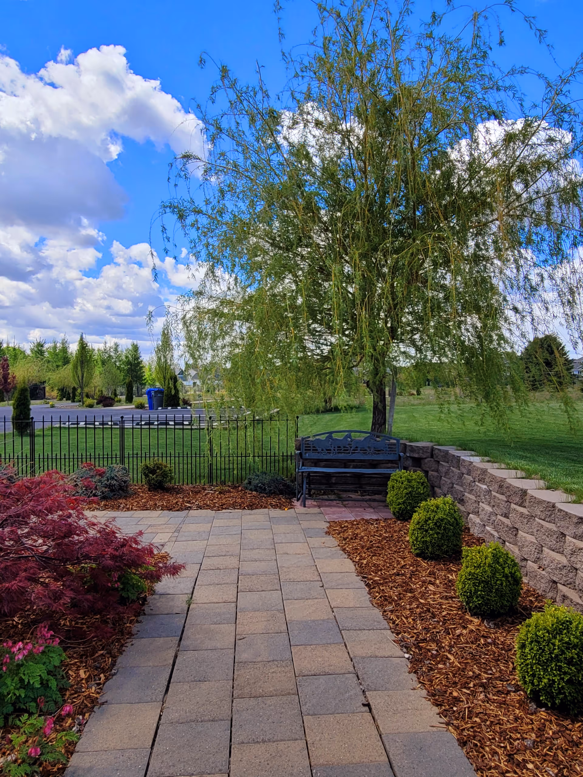 A paved outdoor patio area with a stone walkway leading to a black metal bench under a large leafy tree. The patio is bordered by a low stone wall on the right side with neatly trimmed round bushes and mulch. On the left side, there are various plants and shrubs with mulch. In the background, there is a black metal fence, green grass, and a partly cloudy blue sky.
