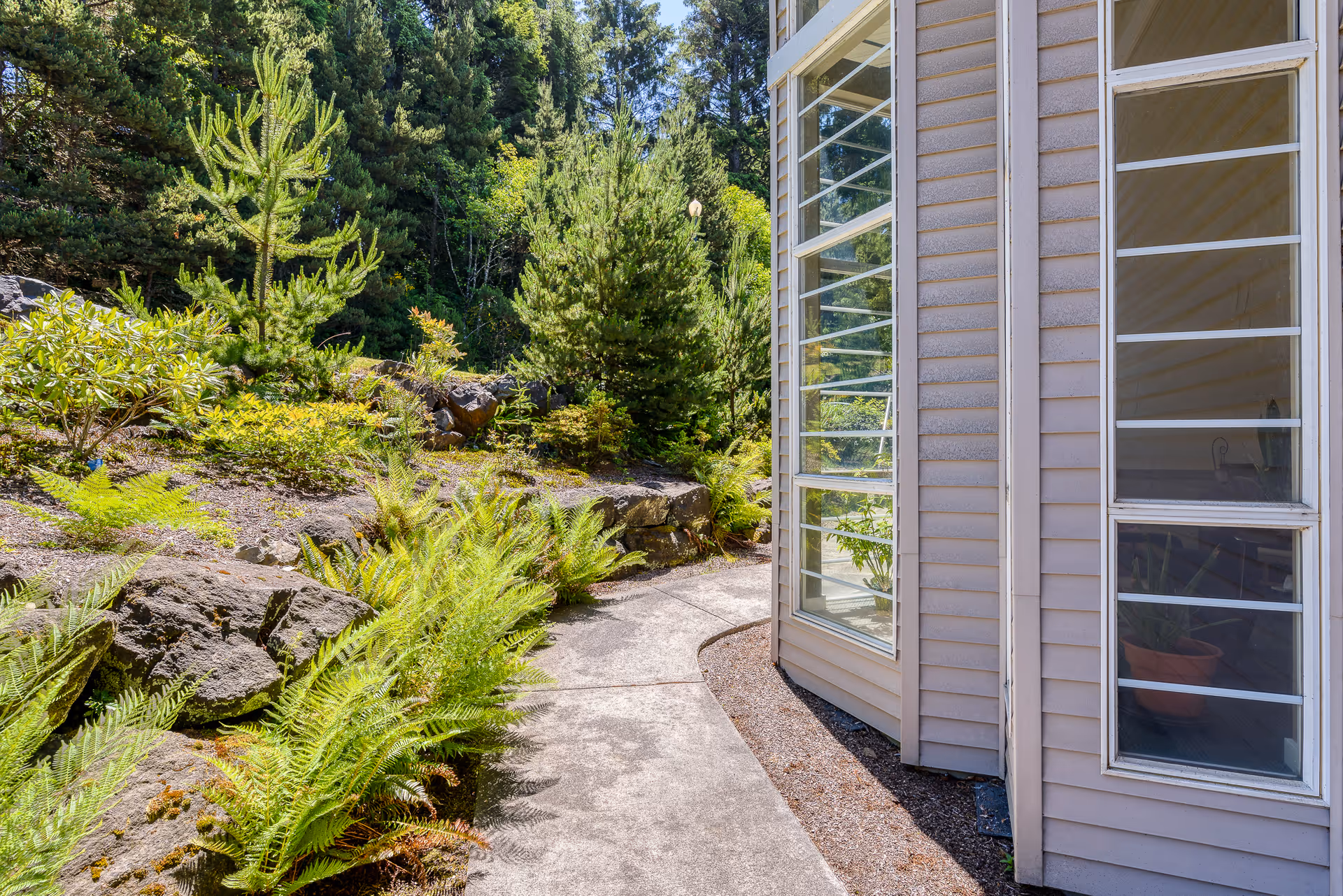 A curved concrete pathway alongside the exterior of a building with large windows. The path is bordered by rocks, ferns, and various green shrubs and trees under a sunny sky.
