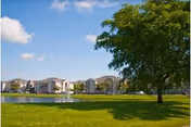 Large tree and green lawn beside a pond with a row of apartment buildings under a blue sky.