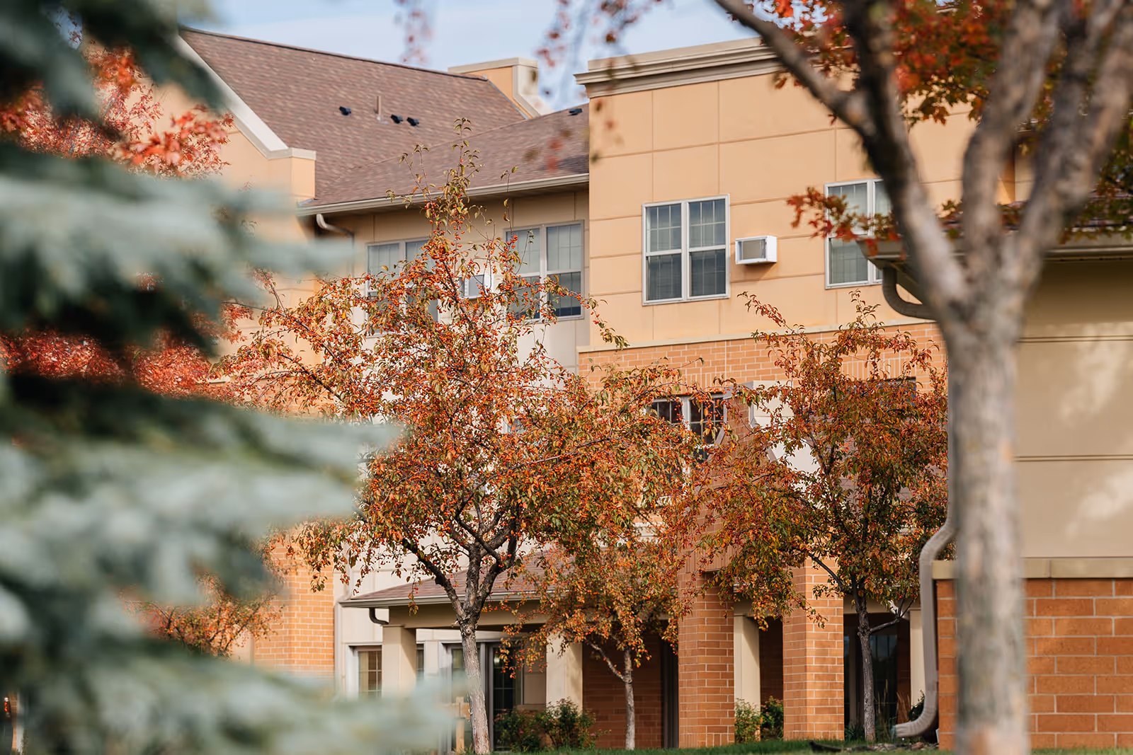 Exterior view of a senior living facility building with beige and brick walls, multiple windows, and a sloped roof. Trees with autumn-colored leaves partially obscure the building, and green grass is visible in the foreground.
