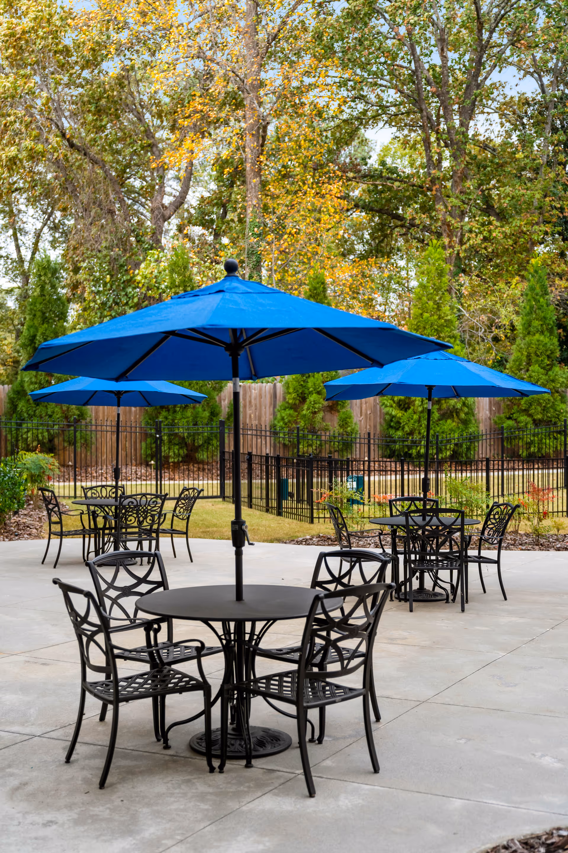 Outdoor patio area with multiple black metal tables and chairs, each table shaded by a large blue umbrella. The patio is surrounded by a black metal fence and lush green trees with some autumn-colored leaves in the background.