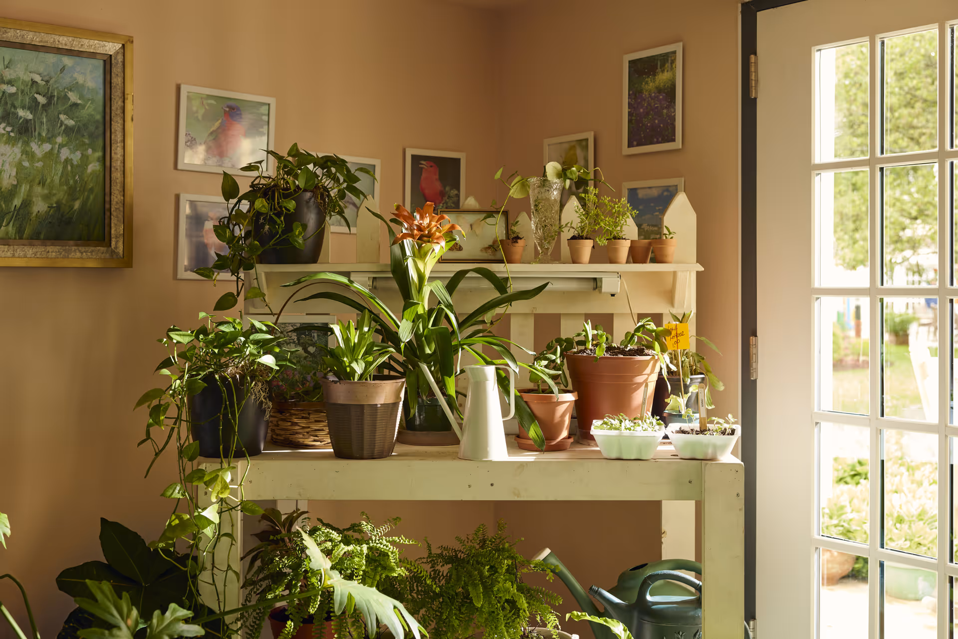 Indoor gardening area with various potted plants and flowers arranged on a white wooden table and shelf against a beige wall. Several framed pictures of birds and nature hang on the wall. A glass-paned door on the right lets in natural light and shows a glimpse of the outdoor garden.