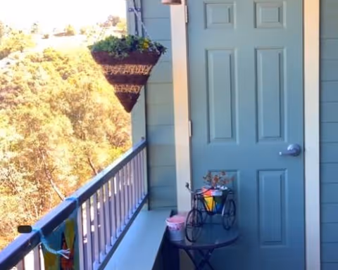 A small exterior balcony with a teal entry door, hanging planter, railing overlooking trees, and a small table holding decorative planters.
