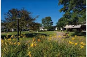 Sunny outdoor view of landscaped grounds with yellow flowers in the foreground, a lawn, trees, and campus buildings under a blue sky.