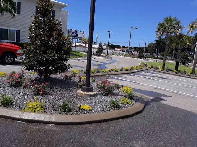 Parking lot with a landscaped island of small trees and flowering shrubs and a light pole beside a light-colored building under a clear blue sky.
