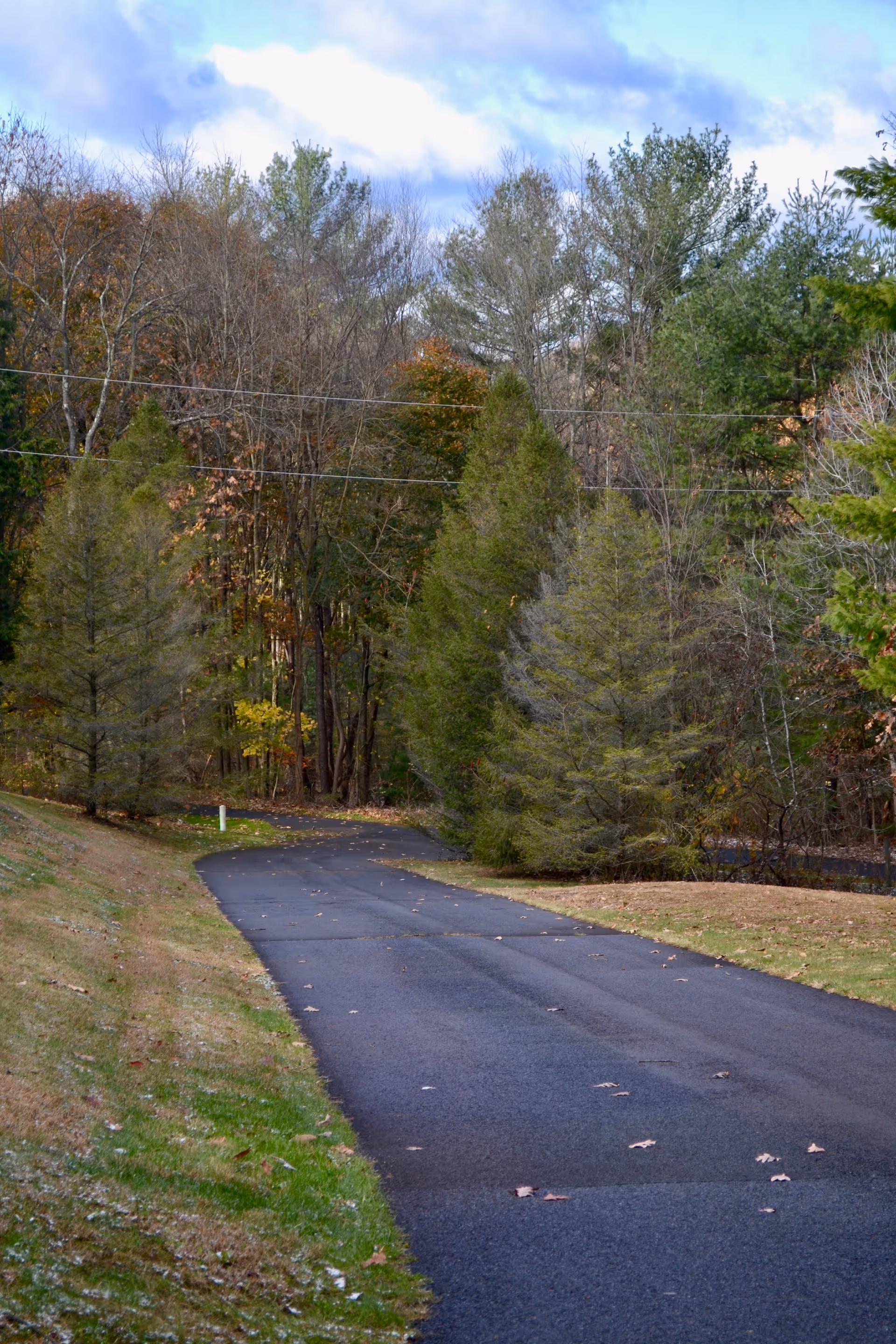 A paved driveway or road curving through a wooded area with evergreen and deciduous trees on both sides, under a partly cloudy sky.