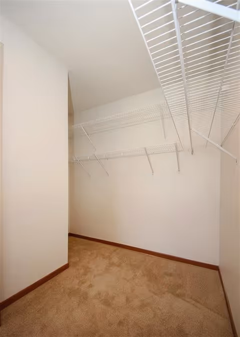 Empty walk-in closet with beige carpet and white wire shelving on two walls.