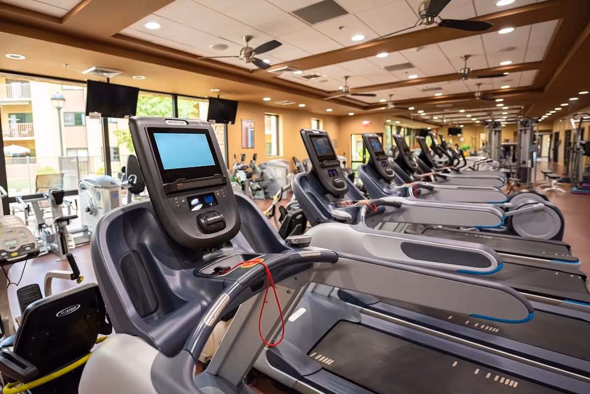 Row of treadmills and other exercise equipment in a bright, well-lit fitness room.