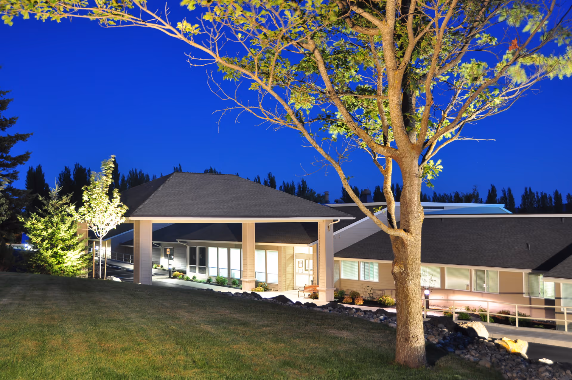 Night view of a well-lit senior living center entrance with a large tree in the foreground.