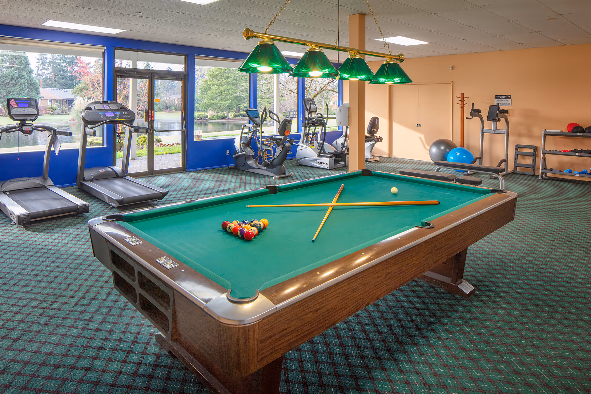 Indoor recreational room featuring a pool table with balls and cues arranged on it, exercise equipment including treadmills and stationary bikes near large windows overlooking a pond and greenery outside, and a rack with exercise balls and weights against a peach-colored wall.