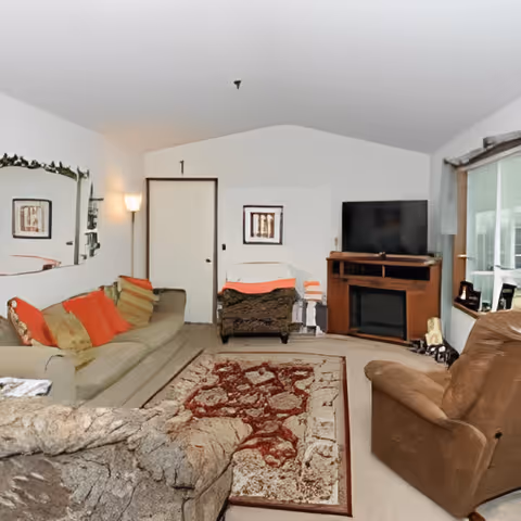 A cozy living room with a beige carpet and a patterned area rug in the center. The room features a green sofa with orange and beige cushions, a brown recliner chair, and a cushioned armchair with a white cover and orange throw. A wooden TV stand with a flat-screen TV and an electric fireplace is positioned against the far wall. A large window with a view outside is on the right side, and a tall floor lamp stands near the door on the left. A large mirror hangs on the left wall reflecting part of the room.