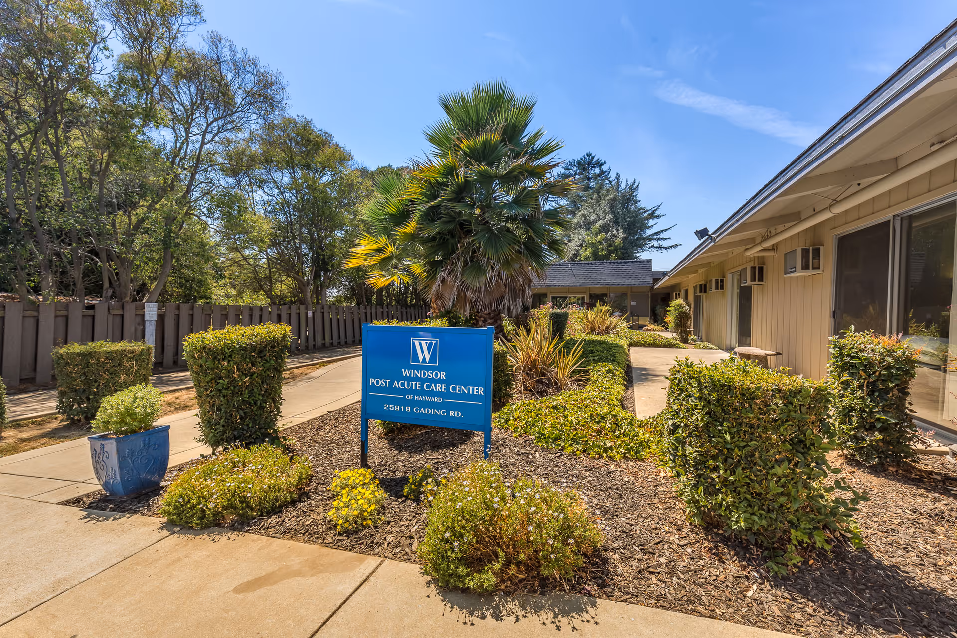 Landscaped entrance and walkway at the Windsor Post Acute Care Center of Hayward with a blue facility sign and palm tree.