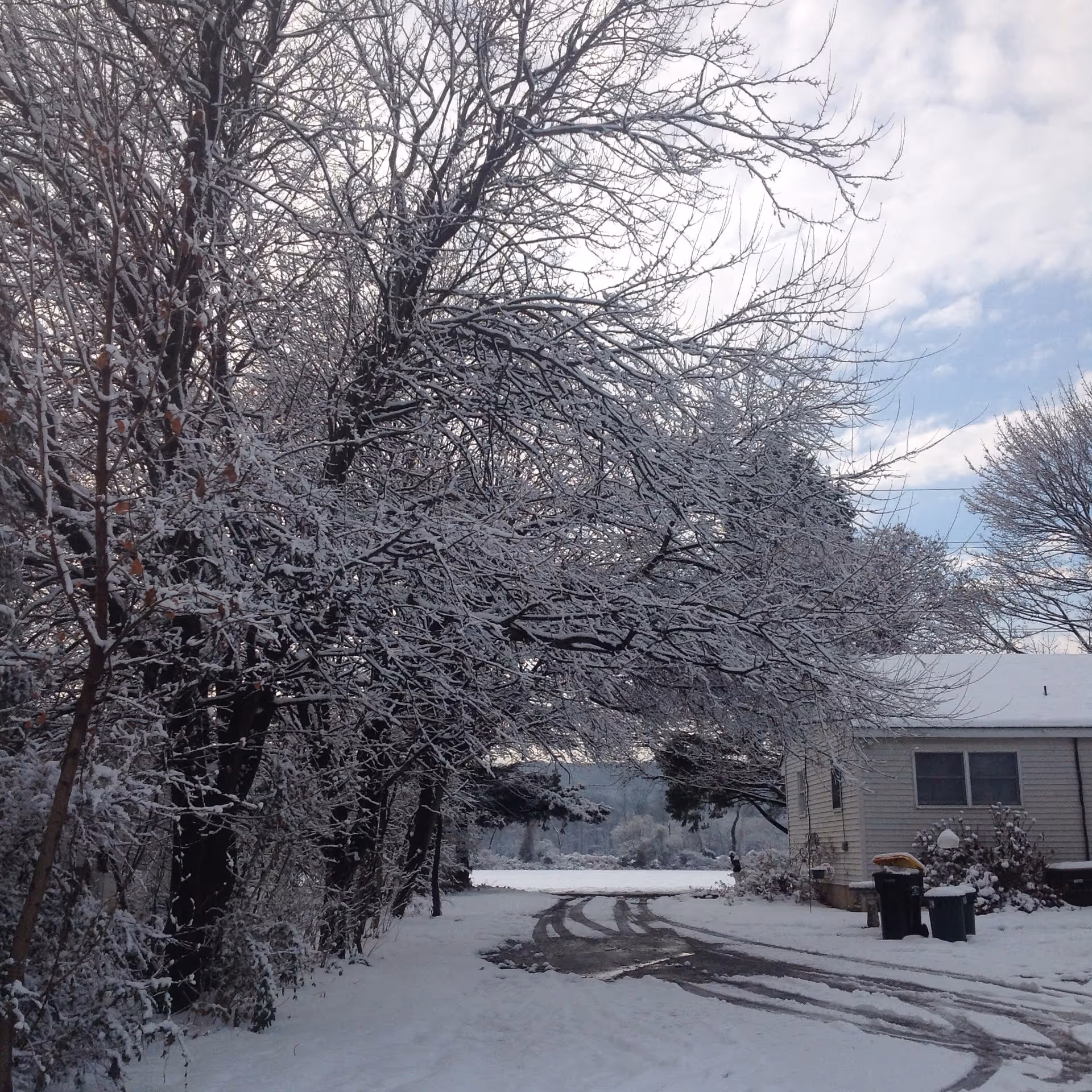 A snowy outdoor scene featuring a snow-covered driveway curving past a small house on the right. Trees with bare branches coated in snow line the left side of the driveway. The sky is partly cloudy with patches of blue visible.