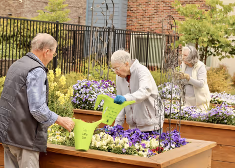 Three elderly individuals gardening together in raised flower beds filled with colorful flowers, surrounded by a black metal fence and brick buildings in the background.