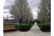 A paved walkway lined with blooming trees on both sides leading towards a building in the background. There is a wooden bench on the left side of the walkway and well-maintained grass and shrubbery surrounding the path.