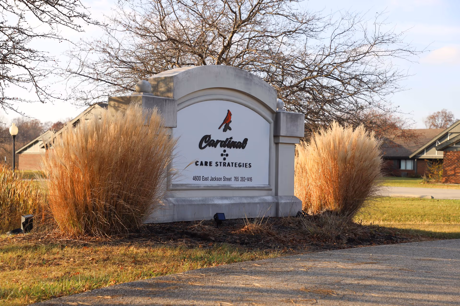 Outdoor view of a stone sign for Cardinal Care Strategies with ornamental grasses on either side, a tree without leaves in the background, and residential buildings visible behind the sign.