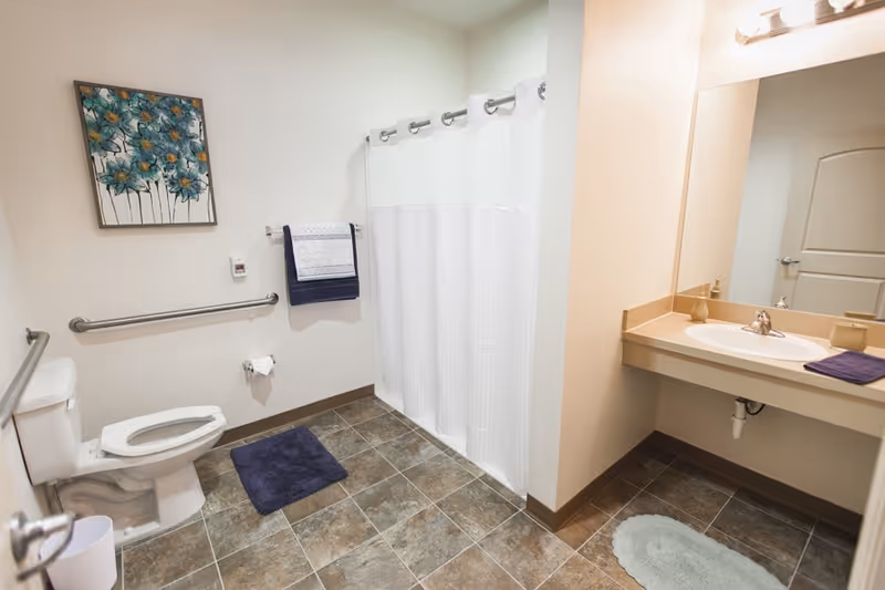 A clean and accessible bathroom with a toilet, grab bars, a white shower curtain, a sink with a large mirror, and decorative towels and artwork on the wall.