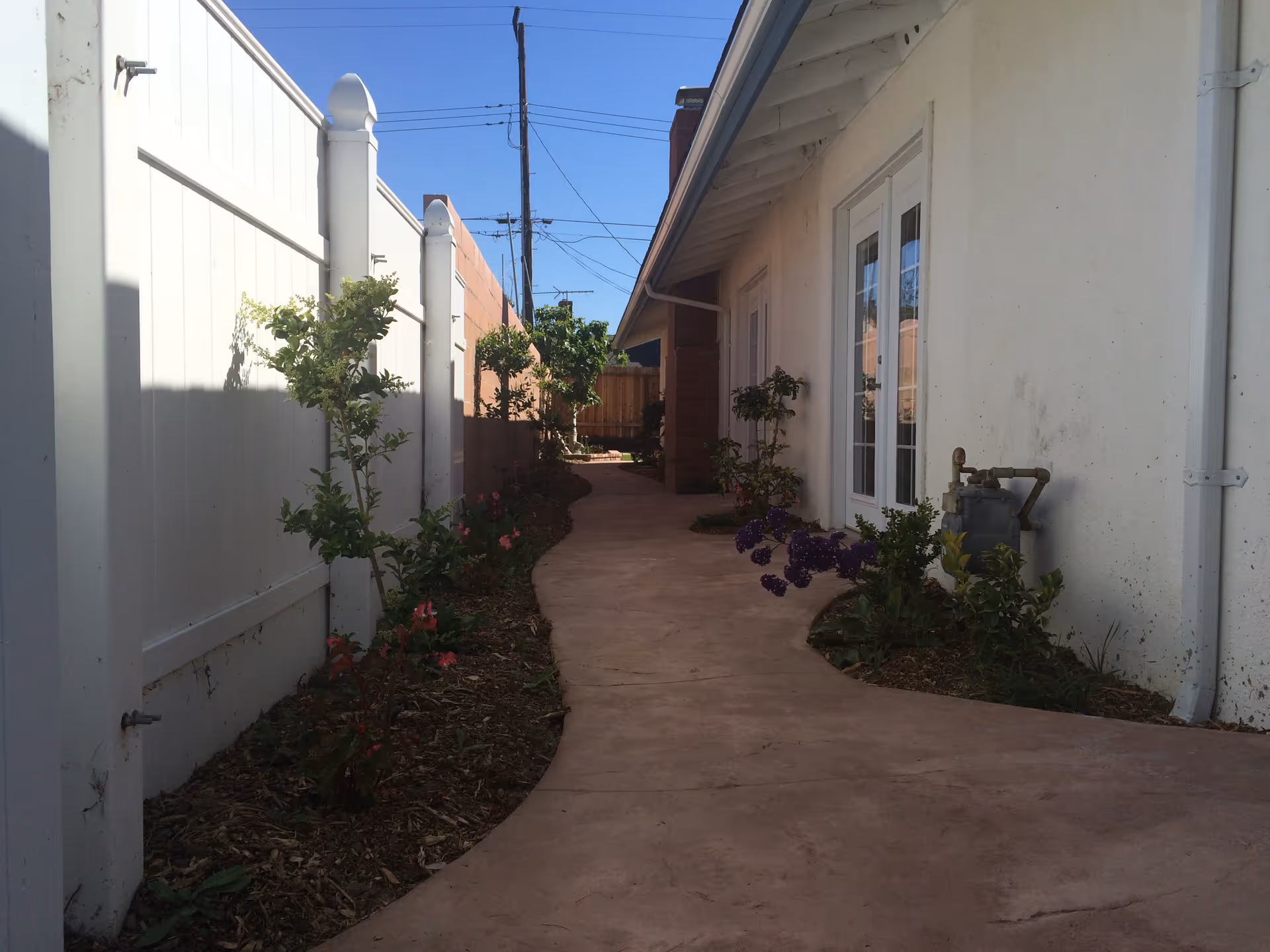 A narrow outdoor walkway beside a building with a white fence on the left and a white wall with windows and a door on the right. There are small plants and flowers along the edges of the walkway under a clear blue sky.