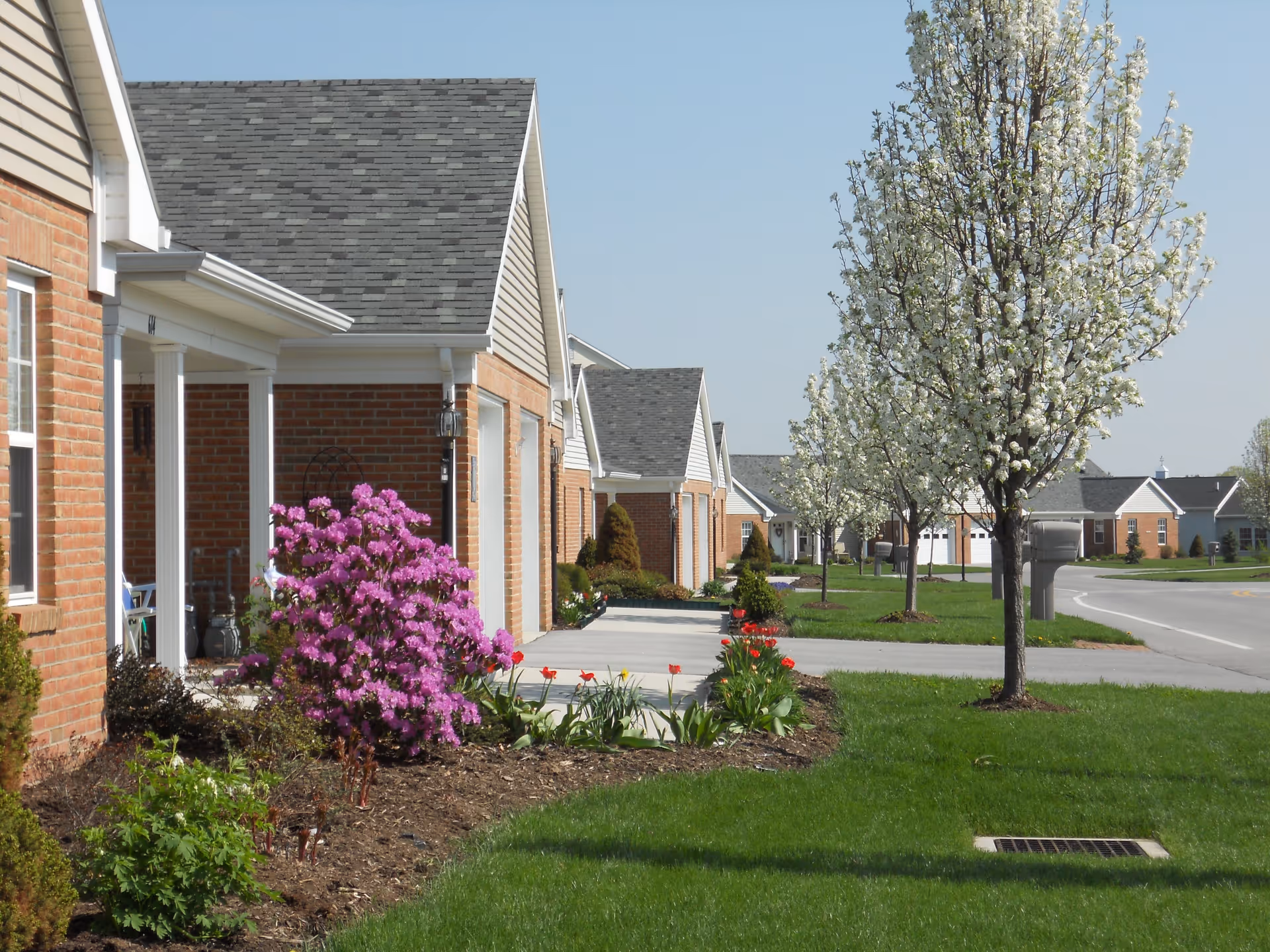 Row of single-story brick homes with porches, blooming trees and landscaped lawns along a suburban street.