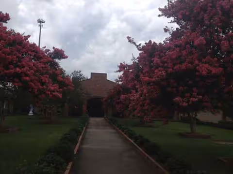 Pathway lined with pink flowering trees leads to a brick building entrance.