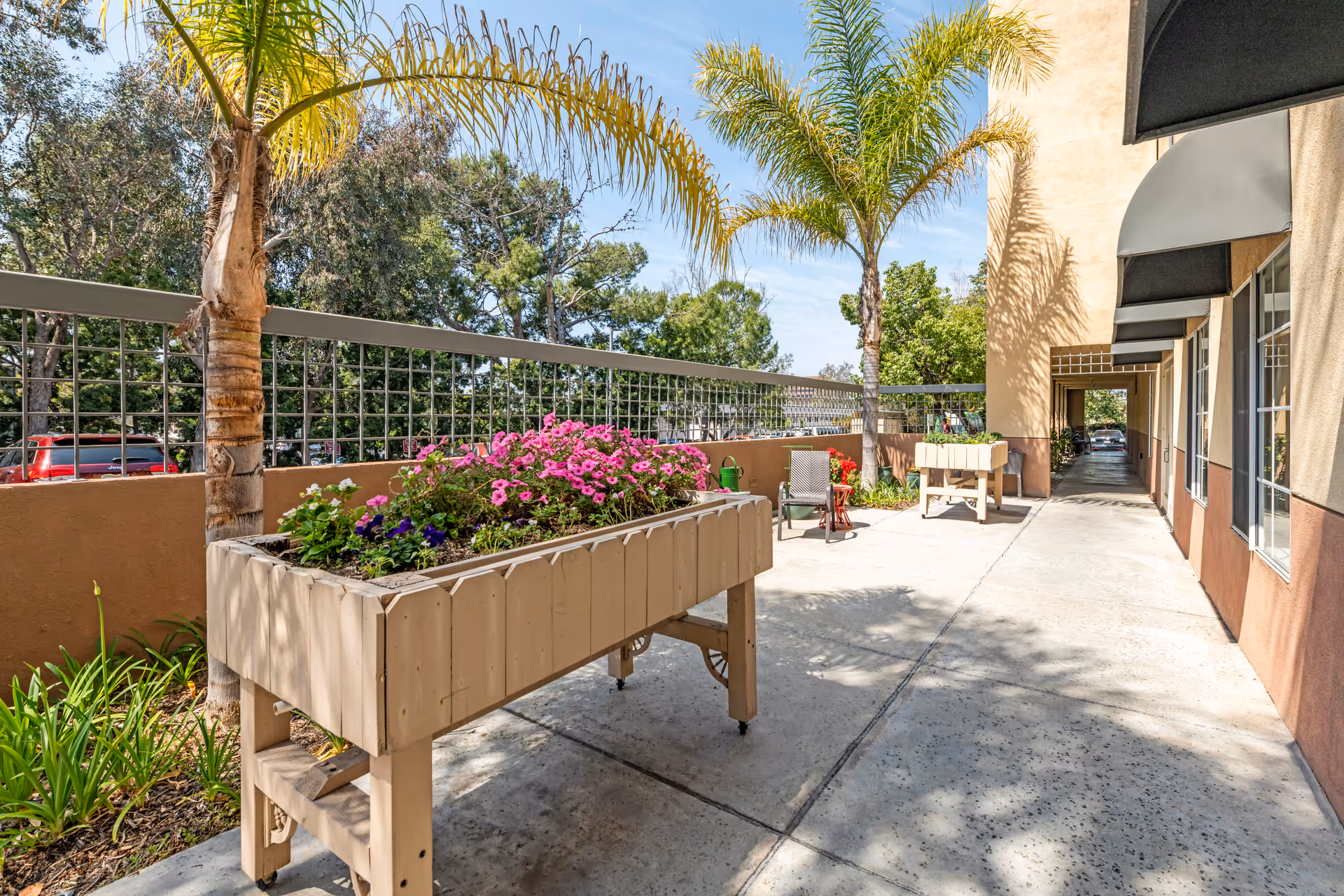 Outdoor patio area with raised garden beds filled with colorful flowers, palm trees, and a walkway alongside a building with windows and awnings under a clear blue sky.