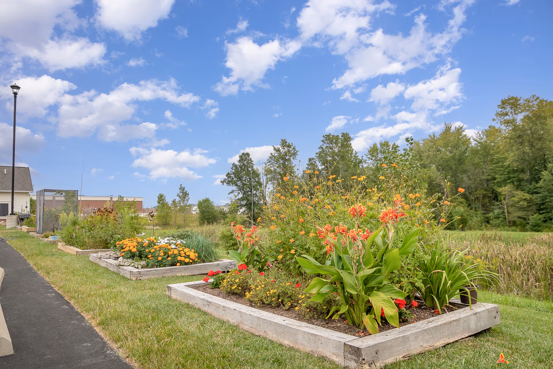 Raised garden beds with various colorful flowers and plants under a partly cloudy blue sky, with a paved walkway and trees in the background.