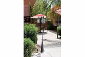 Outdoor patio area with a paved walkway, green bushes, palm trees, and a table with a red umbrella providing shade.