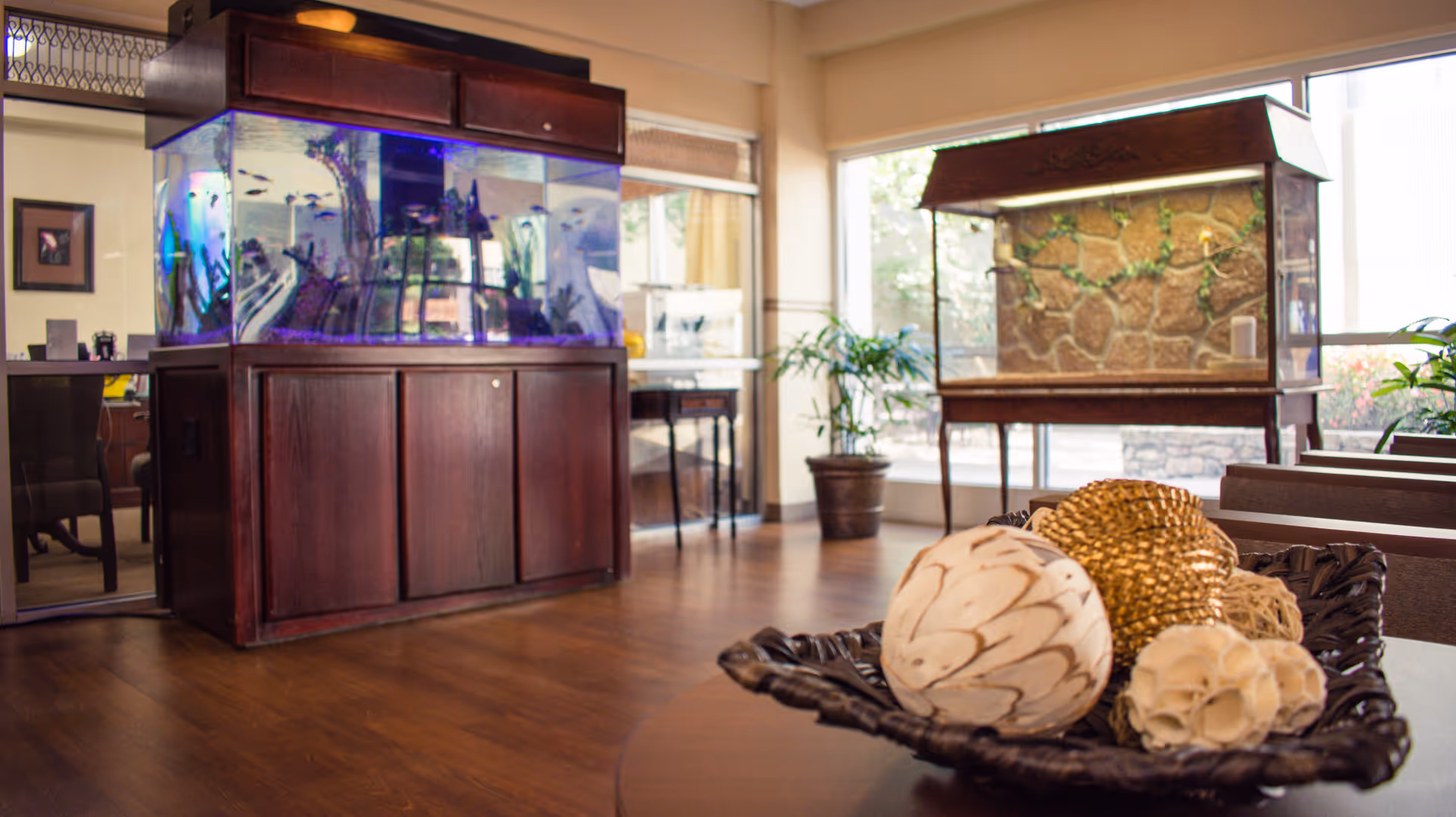 A bright interior common room with large aquariums, potted plants, and a decorative bowl of spheres on a table.