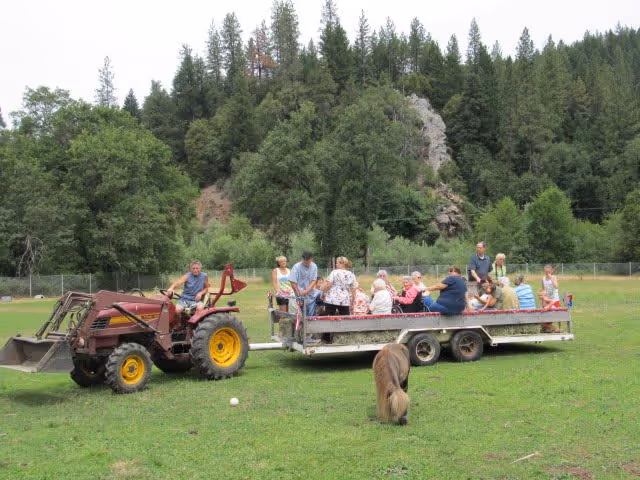 A tractor pulls a flatbed trailer carrying a group of people across a grassy field with a grazing pony and forested hills in the background.