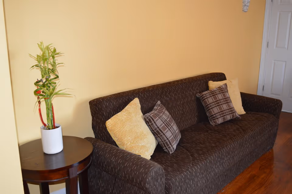 A brown patterned sofa with four cushions, two yellow and two brown plaid, placed against a beige wall. Next to the sofa is a small round wooden side table with a white pot containing a green bamboo plant. A white door is visible in the background on the right side.