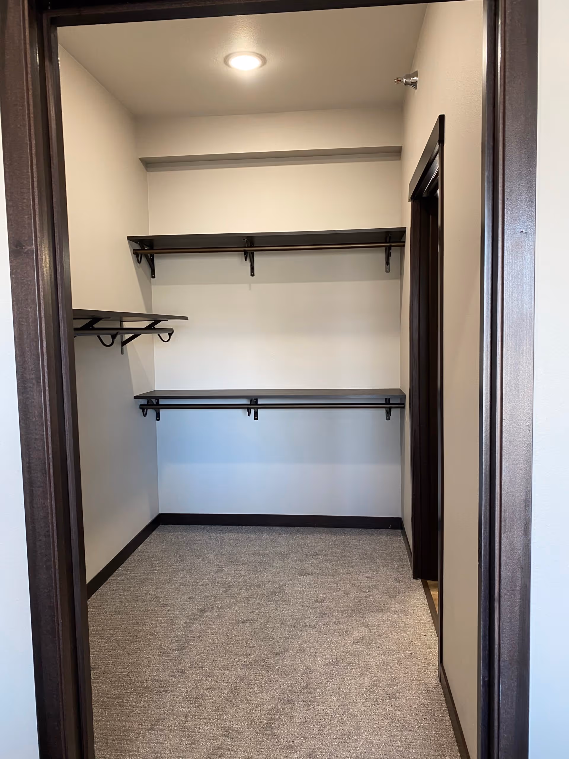 Empty walk-in closet with beige walls, gray carpeted floor, and dark brown shelves and hanging rods mounted on the walls. The closet is illuminated by a ceiling light.