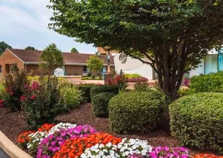 A well-maintained garden area with colorful flowers, neatly trimmed bushes, and a large tree providing shade. In the background, there are buildings with brick and light-colored walls under a clear sky.