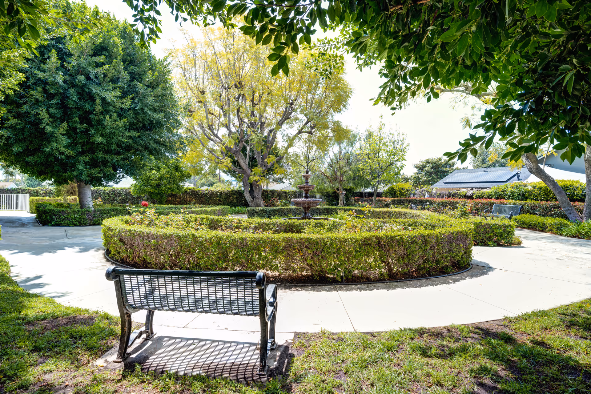 A peaceful outdoor garden area with a circular hedge surrounding a tiered water fountain. There are several trees providing shade and two metal benches placed along the paved walkway. The sky is bright and clear, and a building with solar panels on the roof is visible in the background.