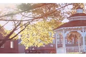 A white gazebo with a decorative roof and railings is situated outdoors, surrounded by trees with sunlight filtering through the leaves.