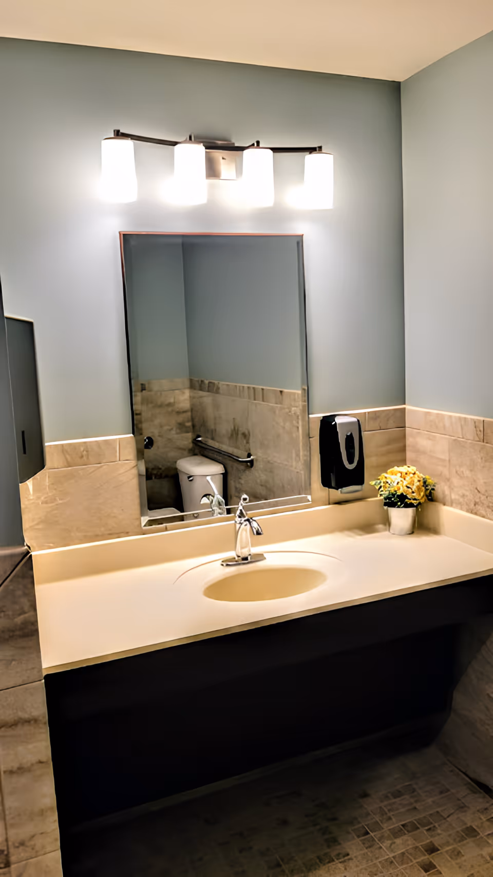 Bathroom vanity with a sink, mirror and overhead lights, a soap dispenser and potted plant with the toilet visible in the mirror reflection.