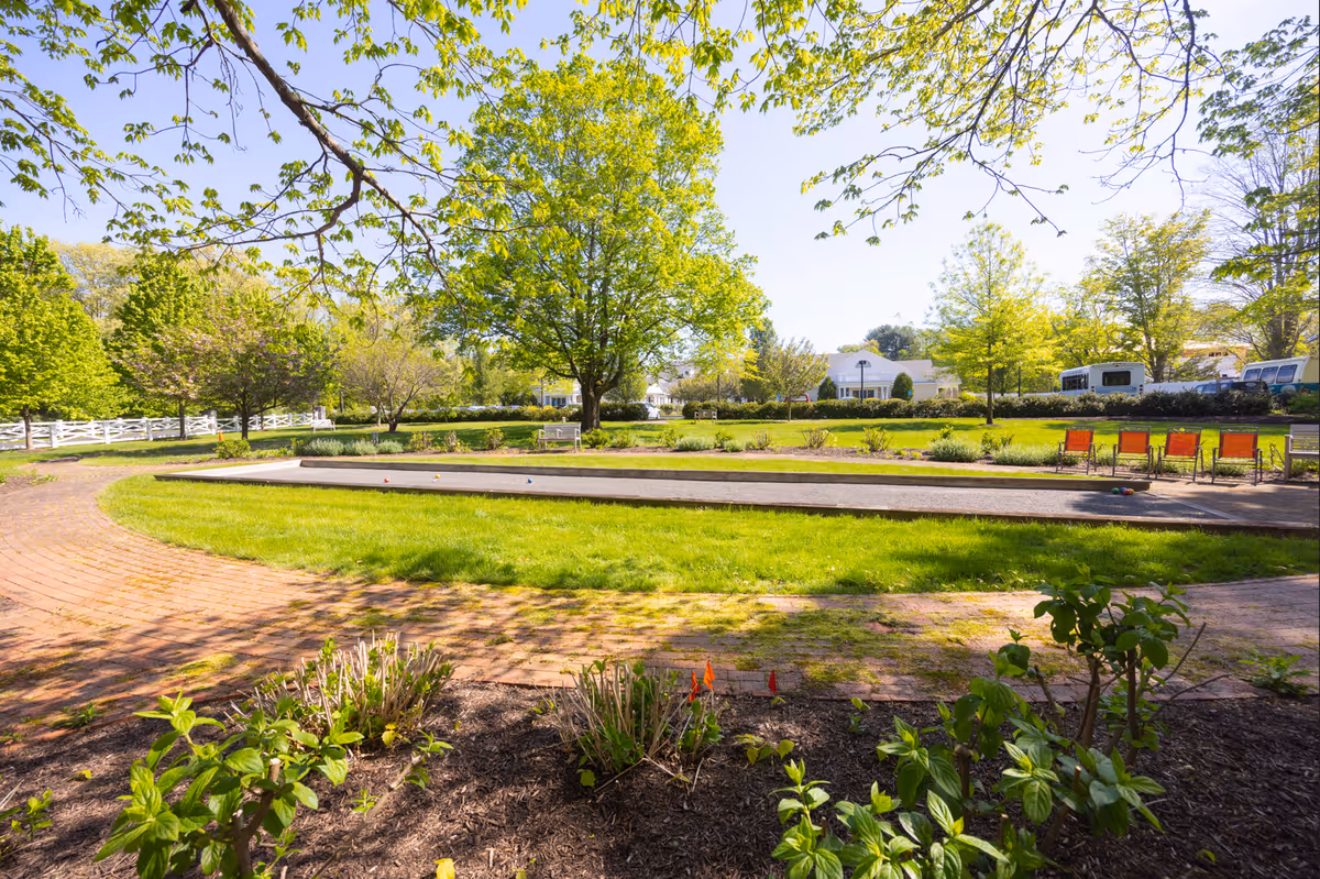 Sunlit outdoor courtyard with a large tree, grassy lawn, curved brick path and a row of orange chairs near a low white building.