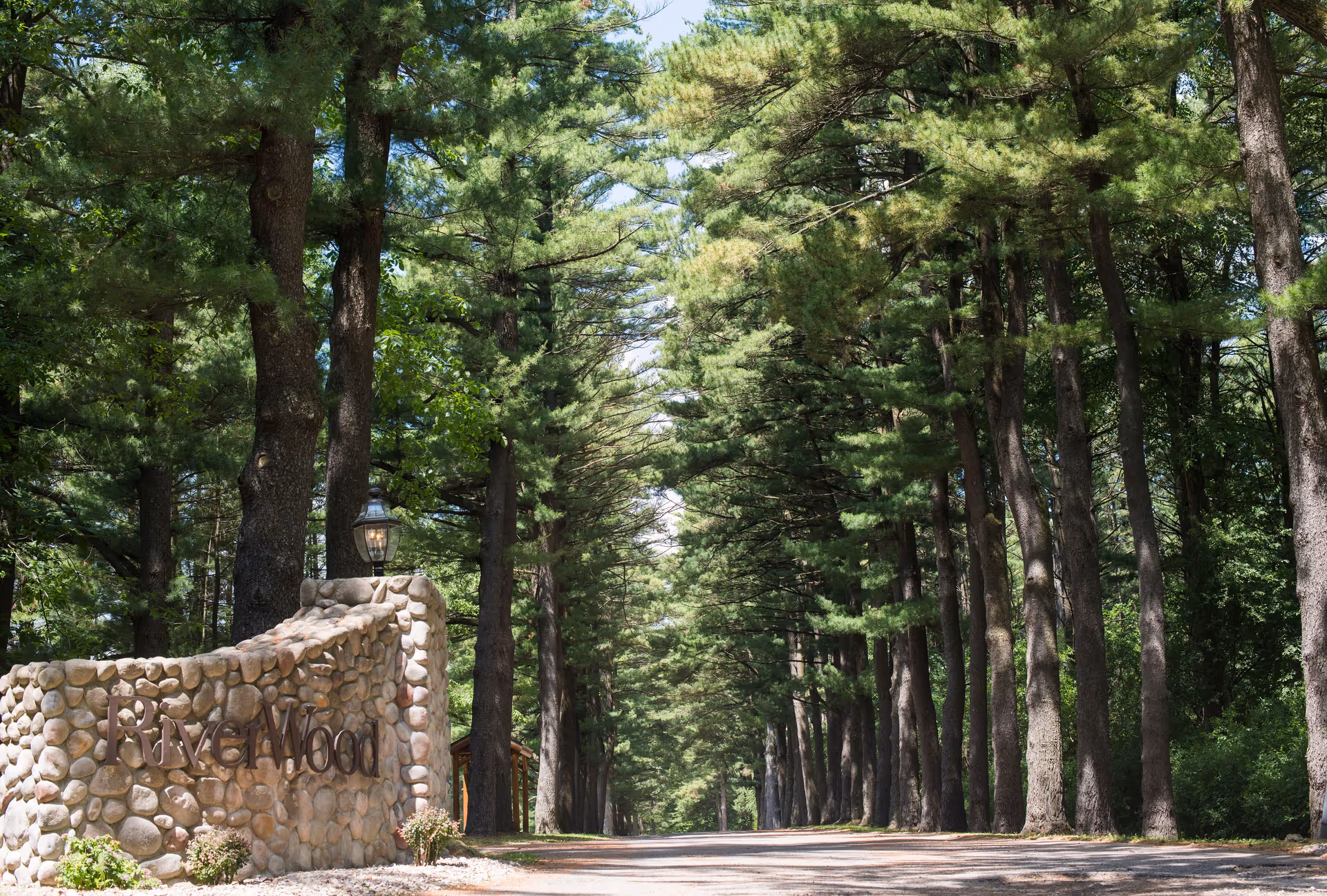 Stone entrance sign reading 'RiverWood' beside a tree-lined driveway under tall pines.