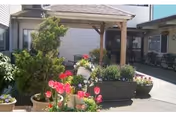 Sunny courtyard with potted flowers, a wooden pergola, and the entrance to a senior living building.